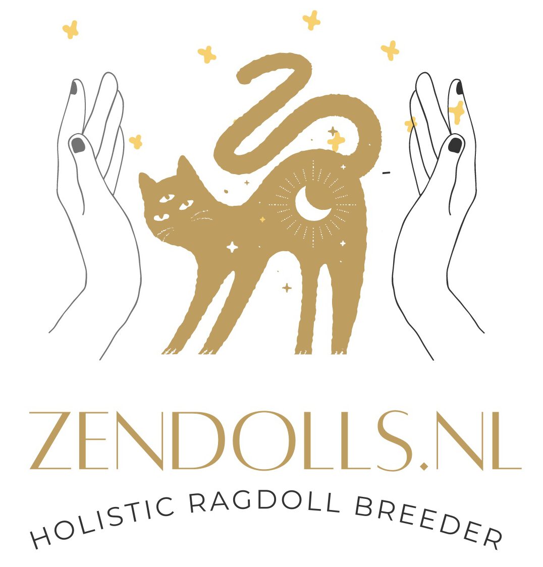 www.zendolls.nl